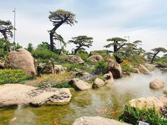 -罗红摄影艺术馆