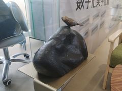 -哈尔滨圣安口腔专科医院