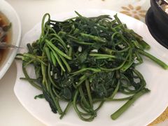 -煲来饱去冷水鱼