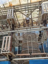 -PIPIKINGDOM皮皮王国欢乐号(欢乐海岸购物中心店)