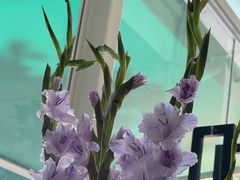 -FEI FEI FLOWER鲜花店·气球派对·宝宝宴布置(虹口德必运动Loft店)