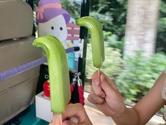 -太阳岛度假酒店