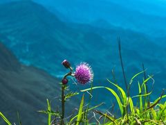 -萍乡武功山风景名胜区