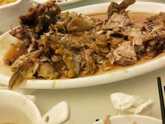 糖醋黄河大鲤鱼-三义和酒楼(千佛山店)