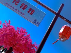 -绿野森林乐园冰雪季