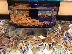 -蟹道乐(道顿堀本店)