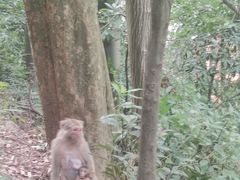 -黔灵山公园