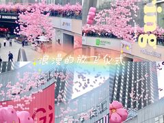 -金茂览秀城