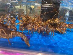 -神农美特好生鲜超市(康宁街店)