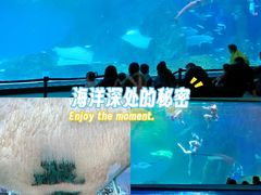 -海合安成都极地海洋公园
