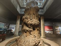 -乐山乌木文化博览苑