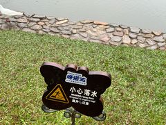 -呀诺达热带雨林