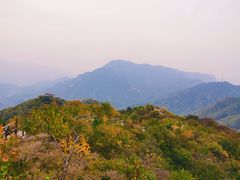 -大岭沟猕猴桃谷风景区