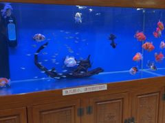 -无名居(中关村辽宁大厦店)