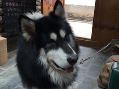 -浔岚云舍mist静谧观景美宿(丽江古城店)