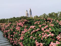 -深圳人才公园