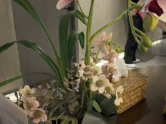 -施奈儿.洗头頭療.按摩SPA.采耳(上梅林店)