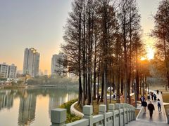 -四海公园(南山区)