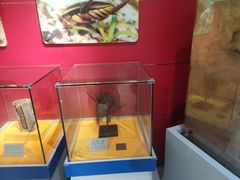 -上海昆虫博物馆