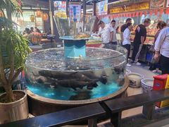 -魏铭鱼头捞饭(晋阳路店)
