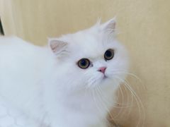 -大舞台文化旅游小吃街
