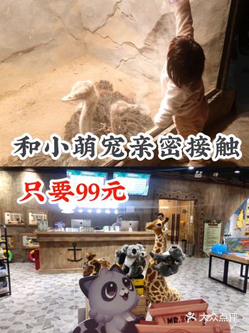 和小萌宠亲密接触只要99元