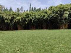 -金沙遗址博物馆