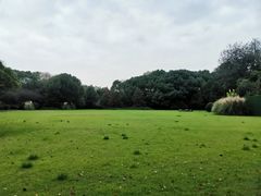 -渤公岛生态公园