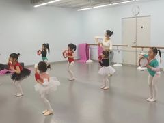 -舞蕾舞蹈·专注中国舞18年(天通苑中心校区)