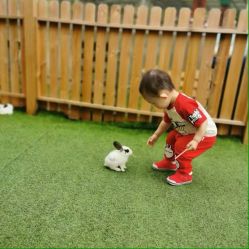 -萌宠亲子动物乐园(槐房万达店)