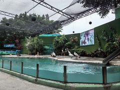 -广州长隆飞鸟乐园