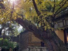 -无锡惠山寺