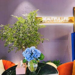 -花隐·美芙炫海菲秀皮肤管理中心