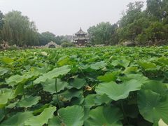 -莲池书院博物馆