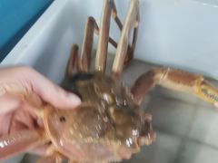 -巧克力渔家.小船海鲜胶东菜(万平口店)