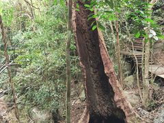 -七仙岭温泉国家森林公园
