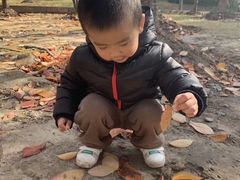 -苏州河梦清园环保主题公园