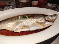 -醉庐·新上海菜(南京西路店)
