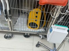 -美联众合动物医院·24h京西诊疗中心