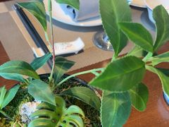 -百富源·海鲜辽菜(张士店)