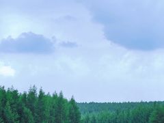 -塞罕坝国家级自然保护区