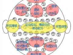 -金博智慧注意力感统训练(回龙观校区)