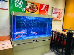 -大圆碗•T骨大排饭(永安道店)