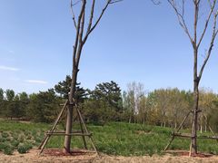 -东郊湿地公园