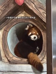 -Zoolung Zoolung动物主题公园(海信广场店)