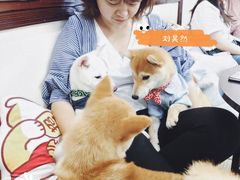 -逗柴咖啡屋·狗咖猫咖宠物桌游
