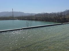 -君乐宝优致牧场