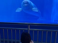 -多彩贵州城极地海洋世界