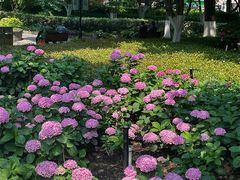 -常州古运河南大街文化旅游区-人民公园