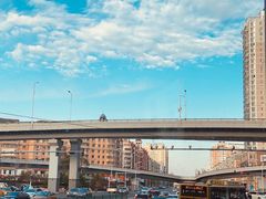 -阿九笨鸡蛋手擀面(总店)